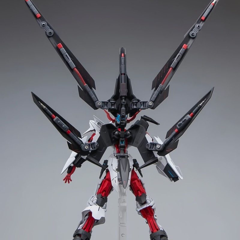 HG 1/144 Astray No-Name Astray - đánh giá và giá Model Kit Gundam Wing