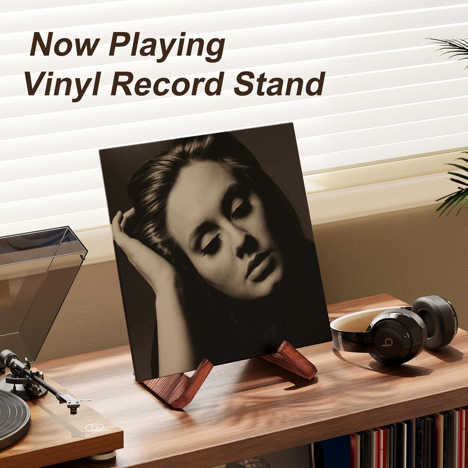 Single Wood Vinyl Record Stand - đánh giá và giá Model Kit Display